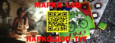 гашик Кингисепп