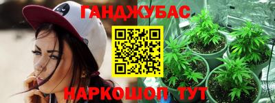 гашик Кингисепп
