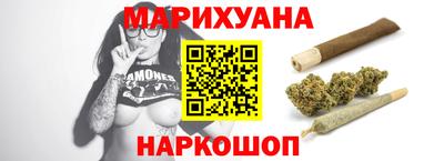 гашик Кингисепп