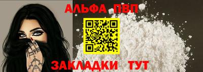 гашик Кингисепп