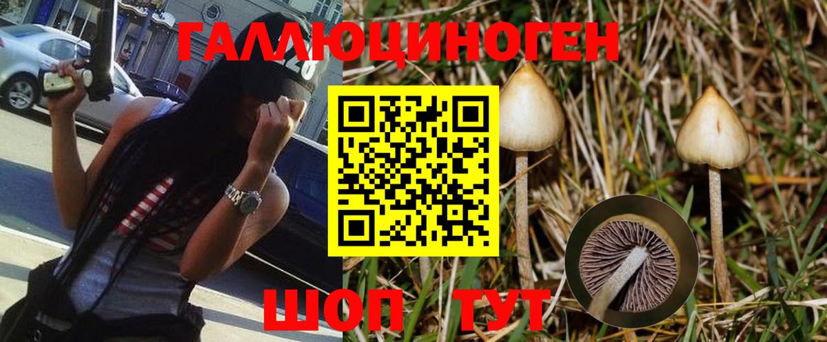 купить наркотики цена  Вход с VPN  Шахты  Псилоцибиновые грибы Psilocybine cubensis 